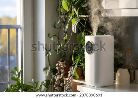 Plant care. Moder air humidifier at home, moistens dry air surrounded by houseplant, soft focus on steam. Humidification, comfortable living conditions. Diffuser, climate equipment for apartment. Royalty-Free Stock Photo #2378890691