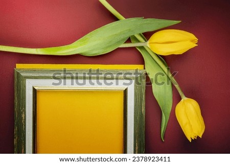 top view of an empty picture frame and yellow color tulips on red background