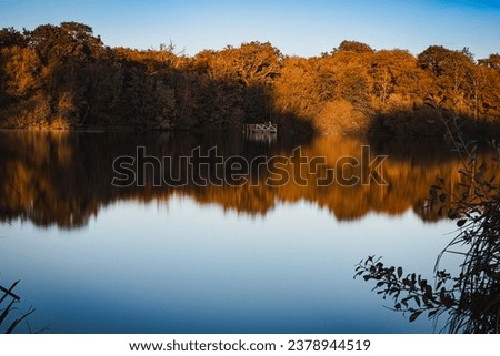 Lake at Hatfield Forest, autumn trees with reflections in the water