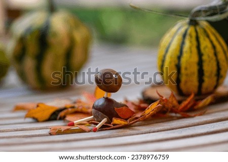 Funny chestnut duck bird animal with cute face berry eyes leaves wings on wooden bench, ripened pumpkins on background, traditional autumnal handcraft with children