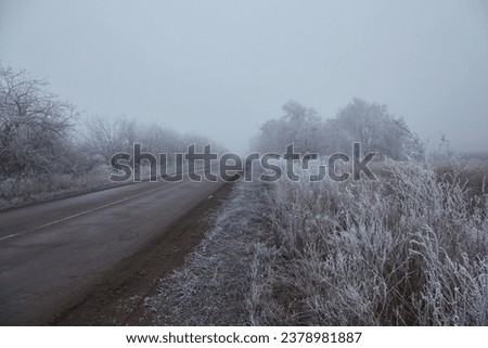 Winter morning with frosted trees, foggy atmosphere, and a disappearing asphalt road. An asphalt road stretches into the distance, disappearing into the mist, adding to the enigmatic composition. Royalty-Free Stock Photo #2378981887