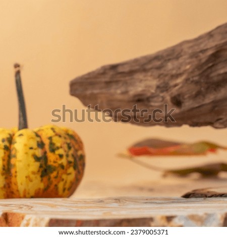Autumn background decoration from dry leaves, driftwood and pumpkin on light background. Mockup for advertising goods in social networks