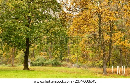 Two trees next to each other green and yellow at Sourland Mountain Preserve in New Jersey Royalty-Free Stock Photo #2379008643