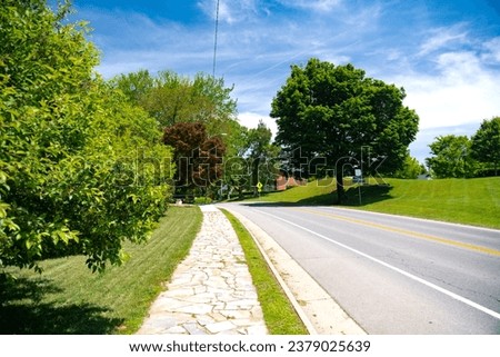 asphalt road with a yellow dividing strip among trees. Blue cloudy sky.