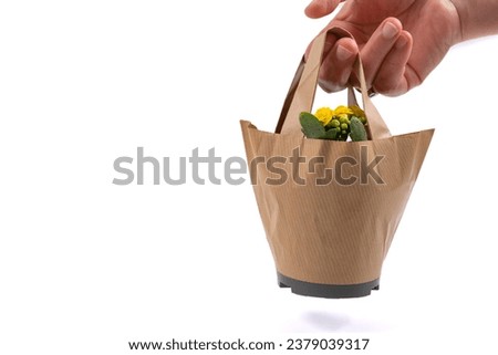 Female hand holding gift houseplant in paper bag isolated on white background. Yellow kalanchoe flower in pot in kraft paper bag. Eco-friendly shopping gift concept, copy space Royalty-Free Stock Photo #2379039317