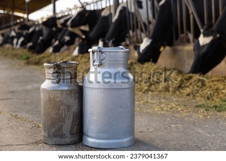 Two aluminum milk cans standing on ground in outdoor cowshed. Healthy organic farm production.. Royalty-Free Stock Photo #2379041367