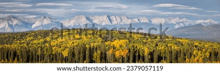 Fall colours in Alberta foothills with the Rocky Mountains in the background. Royalty-Free Stock Photo #2379057119
