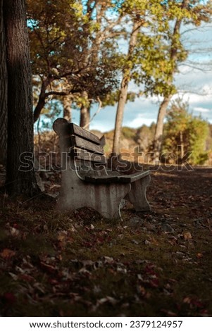 Old vintage bench in the autumn park. Atmosphere fall old abandoned bench