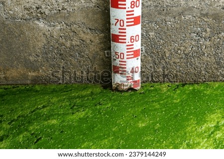 A red scale water measure with a green swampan algae water in the swamp, environment concepts. Royalty-Free Stock Photo #2379144249