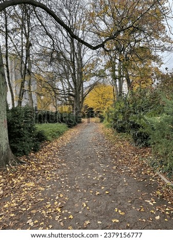 Park view in autumn. Picture was take in Offenbach,Germany.