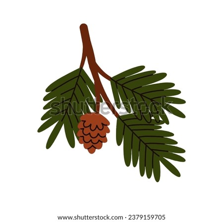 Fir tree branch. Spruce twig, conifer plant with green needles, wood cone. Winter seasonal coniferous sprig. Christmas holiday natural element. Flat vector illustration isolated on white background