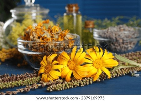 Bowl and many different herbs on blue wooden table, closeup