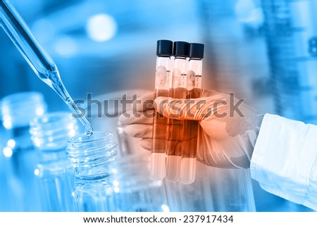 Gloved hand holding the test tubes in laboratory