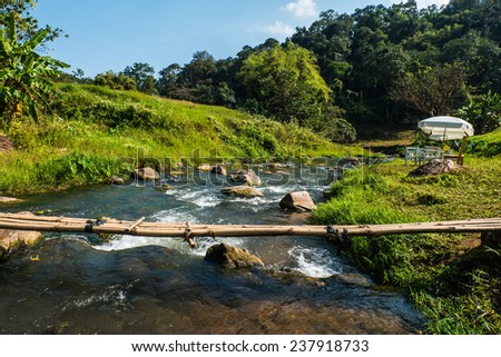 Small stream that curves along the forest. A small bamboo bridge to walk across.