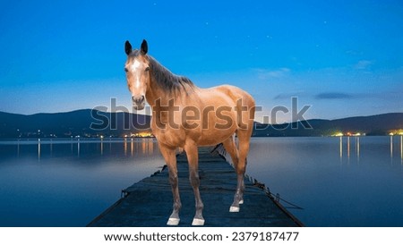  A beautiful brown horse standing on a hill overlooking a lush green valley. The horse is facing the camera and has a calm and serene expression. 