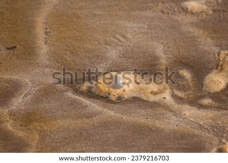A bubble formed on sea sand