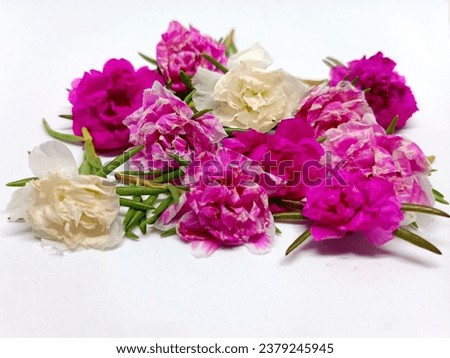 Beautiful flowers as background. Colorful flower arrangements for a romantic background