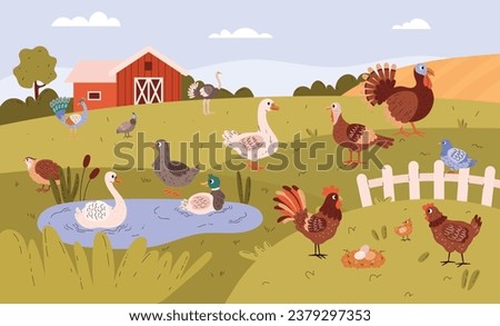 Poultry farm with free range birds in field. Barnyard scene with chicken, rooster, duck, goose, turkey and other domestic birds on rural background. Vector illustration design for poster, banner, web.