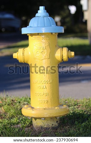 A Yellow and Light Blue Fire Hydrant in a Residential Neighborhood