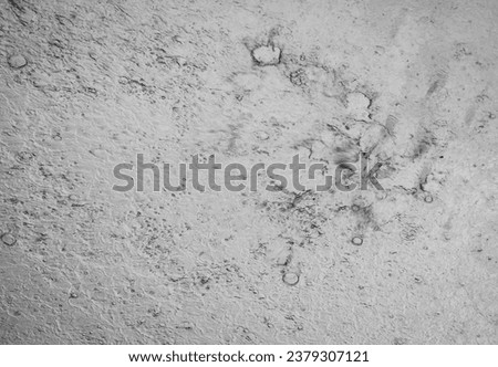 Abstract photograph of rainwater droplets. Canfranc