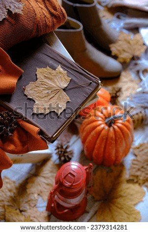 Pumpkin, Leaf,shoes in autumn concept