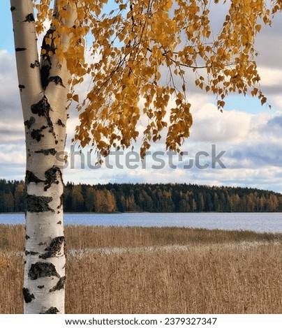 The rural serenity of Finland