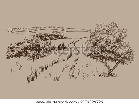 Green grass field on small hills. Meadow, alkali, lye, grassland, pommel, lea, pasturage, farm. Rural scenery landscape panorama of countryside pastures. Vector sketch illustration
 Royalty-Free Stock Photo #2379329729