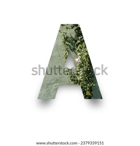 This picture shows a creative and artistic representation of the letter A. The letter is made of concrete and has a rough and solid texture. The letter is also decorated with a green plant that grows 