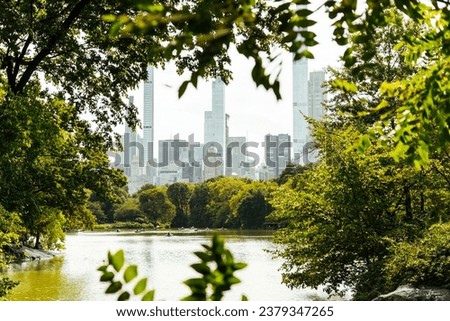 The view of New York City's skyline seen through the trees of Central Park in New York, USA.