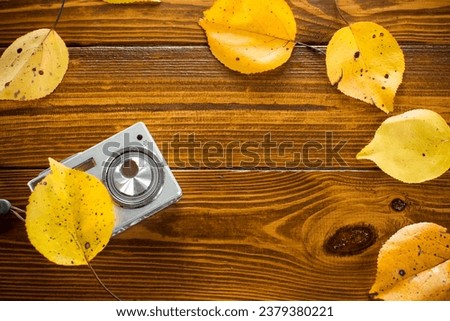 Autumn foliage with a camera on a wooden table. Autumn time