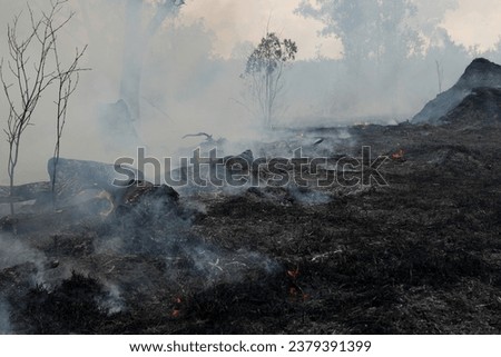 A stunning veld fire in a field in between a suburb and a railway. Showing the death and destruction of an uncontrolled fire. looks like a war scene showing the after effects. Royalty-Free Stock Photo #2379391399