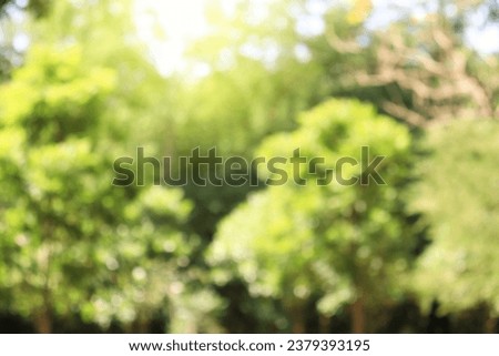 foliage green blur bokeh background bright