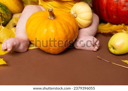 yellow small pumpkin in the hands of a child