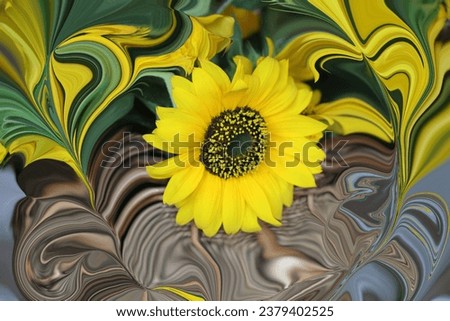 abstractions of various sun flowers