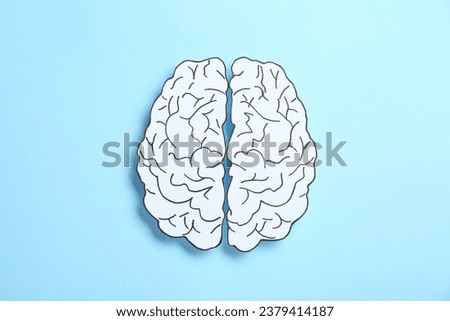 Paper brain hemispheres on light blue background, top view