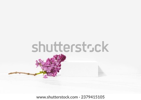 Cosmetics skin care product presentation scene and display with copy space made with white podium and blossom flowers lilac branch on white. Studio photography.