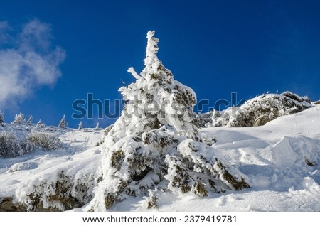 Winter mountains of the Carpathians in Ukraine