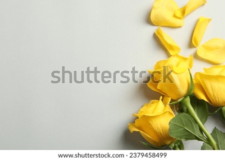 Beautiful yellow roses on light grey background, flat lay. Space for text