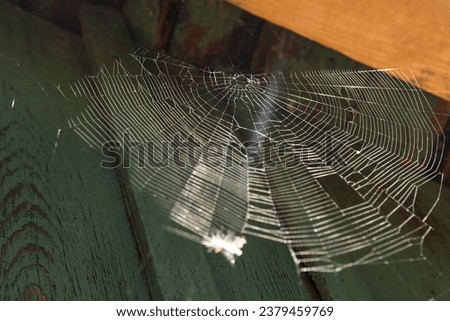 Cobweb on wooden building outdoors, low angle view Royalty-Free Stock Photo #2379459769