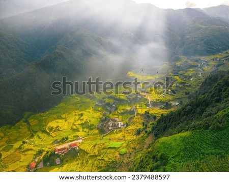 Aerial image of rice terraces in Muong Hoa Valley , Lao Cai province, Vietnam. Landscape panorama of terraced rice fields with fog int the morn. Spectacular rice fields. Sun ray through the sky