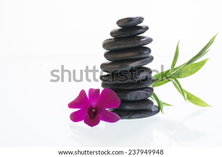 Black zen stones with purple Dendrobium orchid close up 