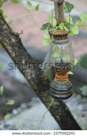 Photo picture  Antique Lamp hang on the tree for exterior decoration in the garden , It have small size and have mirror cover ,have many  rust on the lamp by this picture can use for decoration .