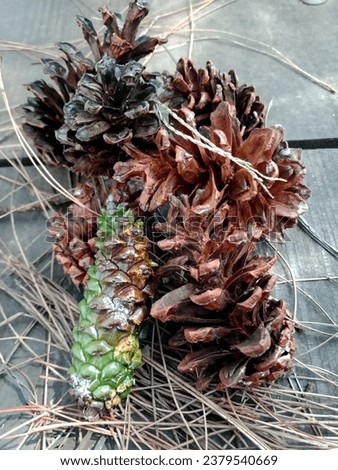 Closeup photo of beautiful pinecones stacked together on wooden plank background.