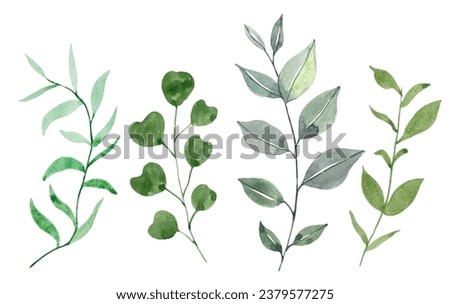 Set of green leaves on a white background, watercolor