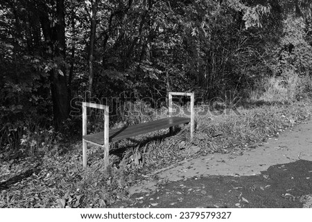 Black and white park, lone bench near the forest and old sidewalk, list of autumn period, natural background for text