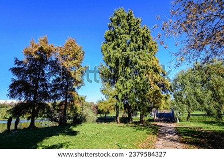 Landscape with alley surrounded by vivid green, yellow and orange trees, plants trees and grass in a sunny autumn day in Parcul Tineretului (Tineretului Park) in Bucharest, Romania Royalty-Free Stock Photo #2379584327