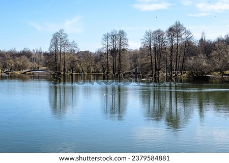 Landscape with large old trees near the lake in Tineretului Park (Parcul Tineretului) in Bucharest, Romania, in a sunny winter day Royalty-Free Stock Photo #2379584881