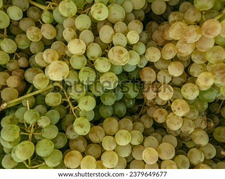 Close up of raw organic sweet green grapes. Bunch of green grapes. Top view of organic grapes. Fruit themed background.