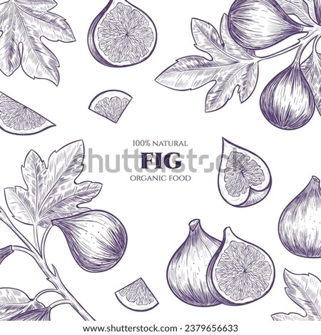 Vector frame with figs. Hand drawn. Vintage style Royalty-Free Stock Photo #2379656633