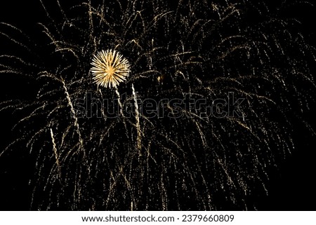 Fireworks lighting up the night sky. Pyrotechnics, abstract